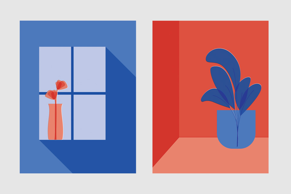 Red flower illustration infront of a blue window and a blue plant illustration in front of a red wall.